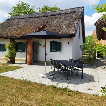 Boróka Tanya Orgovany Exterior foto