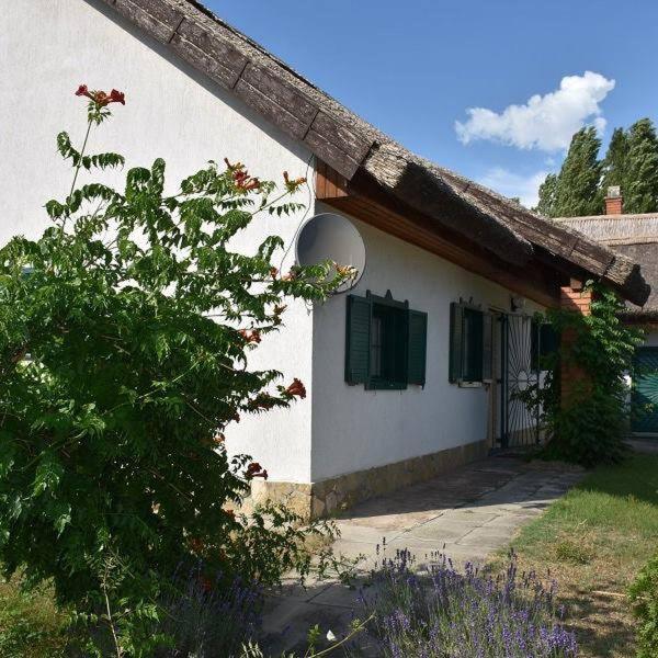 Boróka Tanya Orgovany Exterior foto